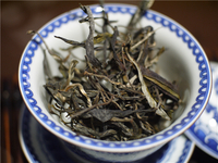 2020年春茶预售：景迈大寨精选古树茶 买两提送一片