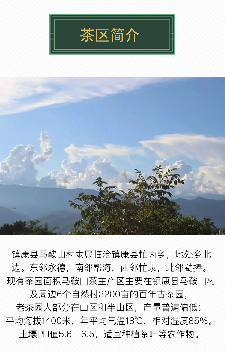 【2019春茶】马鞍山临沧古树纯料 普洱茶生茶 200g生茶饼